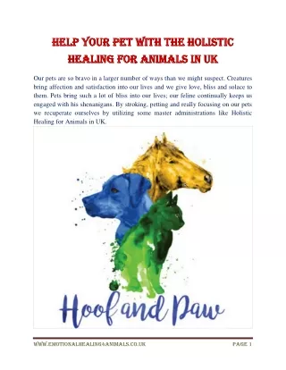Help your pet with the Holistic Healing for Animals in UK