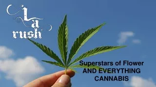 superstars of flower and everything cannabis