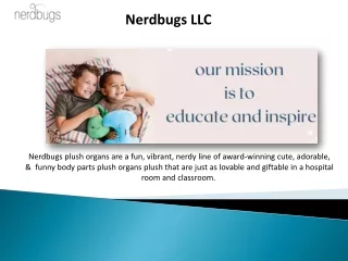 nerdbugs llc