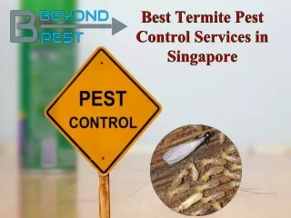 Best Termite Pest Control Services in Singapore
