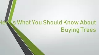 here s what you should know about buying trees