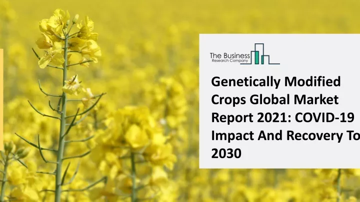 genetically modified crops global market report