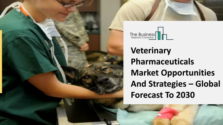 veterinary pharmaceuticals market opportunities