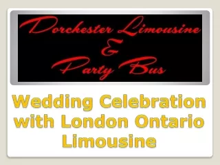 Wedding Celebration with London Ontario Limousine