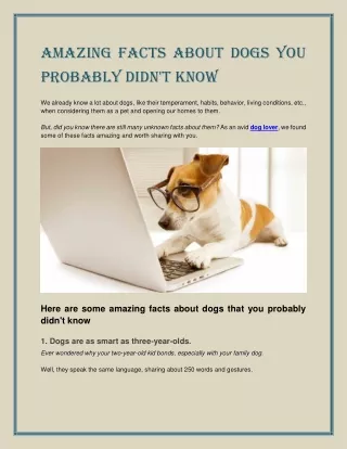 amazing facts about dogs you probably didn t know