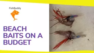 Know How To Get Beach Baits In Your Budget | Fishing Near Me