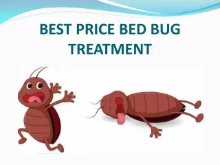 Know the best treatment to kill bed bugs