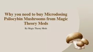 Why you need to buy Microdosing Psilocybin Mushrooms from Magic Theory Meds?