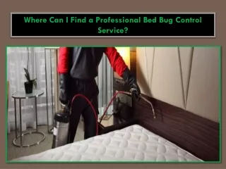 Where Can I Find a Professional Bed Bug Control Service?