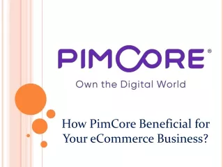 how pimcore beneficial for your ecommerce business