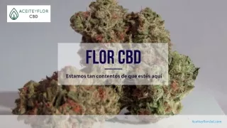 Flor CBD