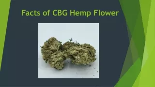 Facts of CBG Hemp Flower