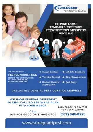 Dallas Bed Bug inspection