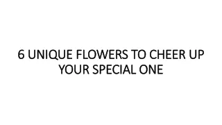 6 unique flowers to cheer up 6 unique flowers
