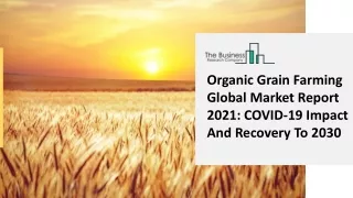 organic grain farming global market report 2021
