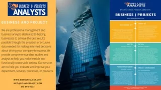 Business and Project Analysts