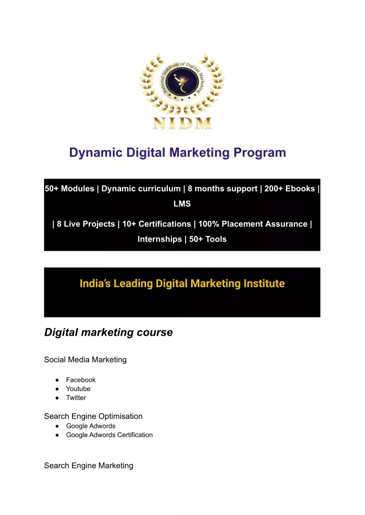 dynamic digital marketing program