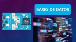 Infografia Base de Datos