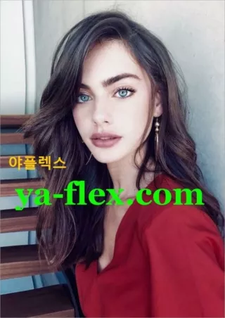 【야플렉스】업소정보 유흥정보 포털사이트