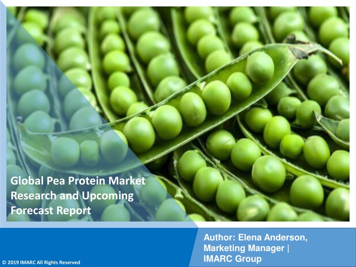 global pea protein market research and upcoming