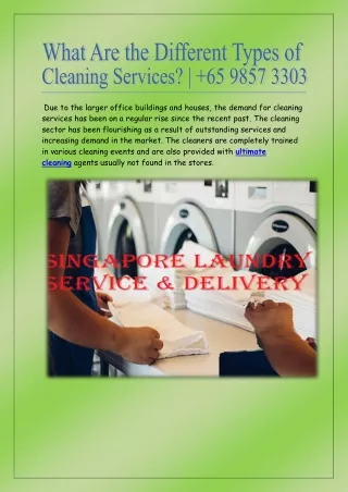 What Are the Different Types of Cleaning Services? |  65 9857 3303