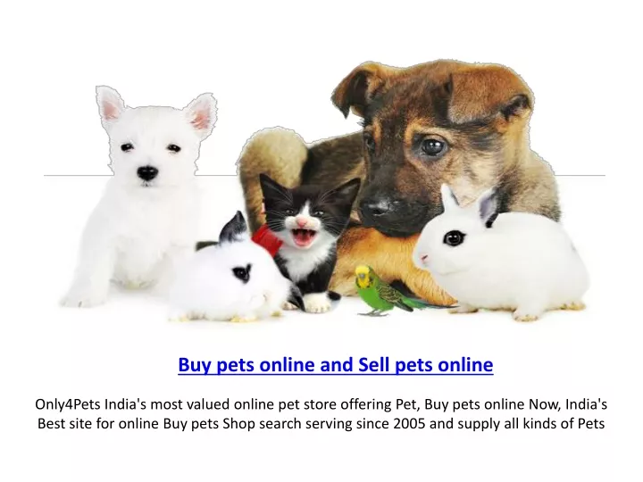 buy pets online and sell pets online