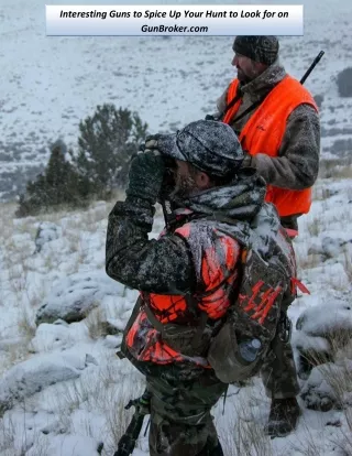 interesting guns to spice up your hunt to look