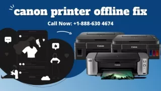 canon printer offline fix