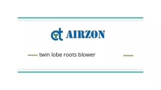twin lobe roots blower