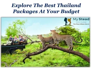 Explore The Best Thailand Packages At Your Budget