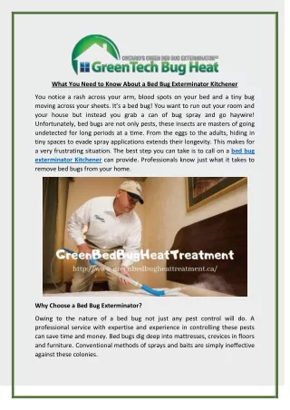 What You Need to Know About a Bed Bug Exterminator Kitchener