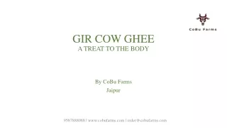 gir cow ghee a treat to the body