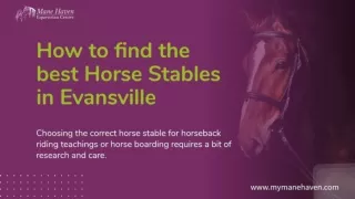 Best Tips To Find Best Horse Stables in Evansville