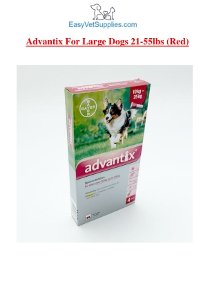Advantix For Large Dogs 21-55lbs RED(PDF)-Easyvetsupplies