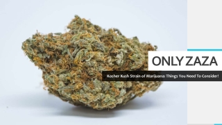 Buy Kosher Kush Marijuana Strain in Washington DC | Only Zaza