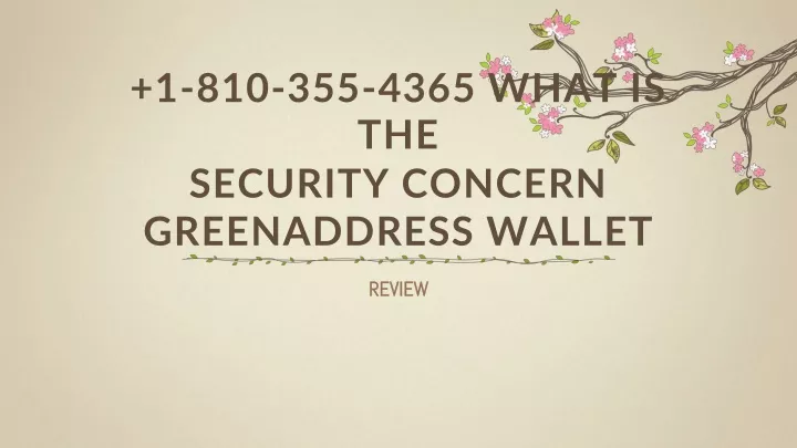 1 810 355 4365 what is the security concern greenaddress wallet