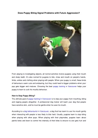 Does Puppy Biting Signal Problems with Future Aggression?