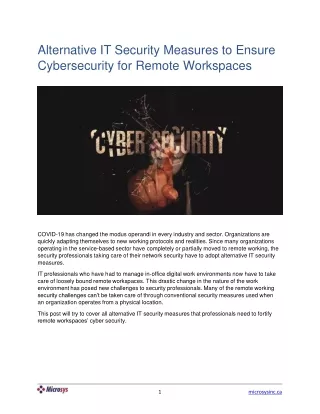 Alternative IT Security Measures to Ensure Cybersecurity for Remote Workspaces