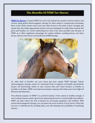 The Benefits Of PEMF For Horses