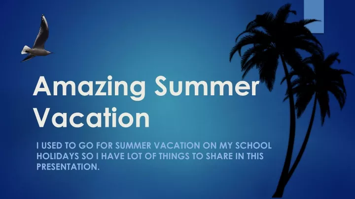 amazing summer vacation