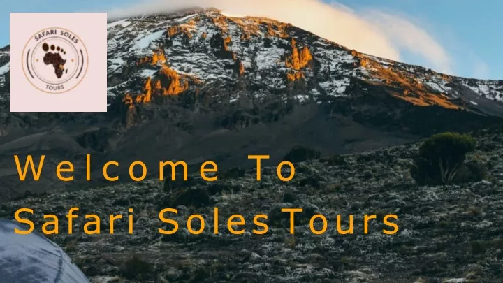 welcome to safari soles tours