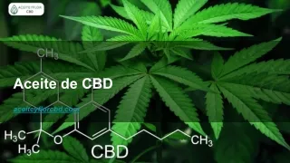 aceite de cbd