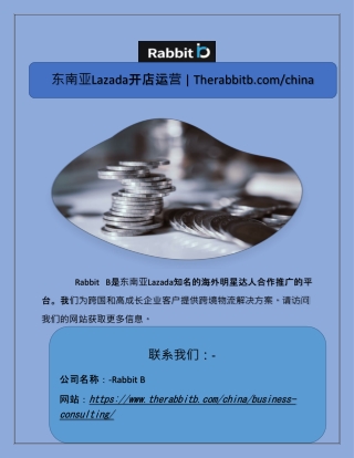 lazada therabbitb com china