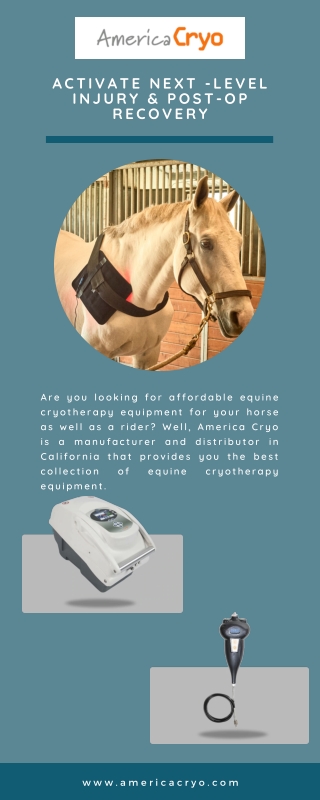 Equine Cryotherapy Equipment