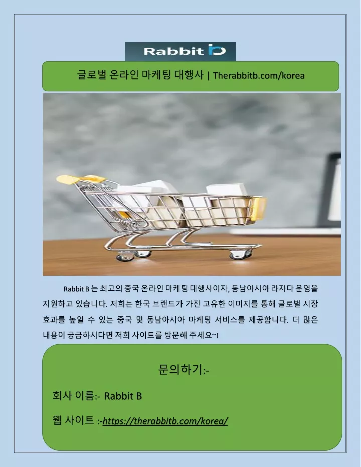 therabbitb com korea