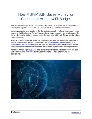 how msp mssp saves money for companies with low it budget