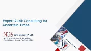 expert audit consulting for uncertain times