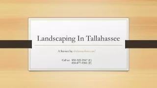landscaping in tallahassee