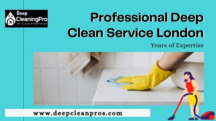 professional deep professional deep clean service