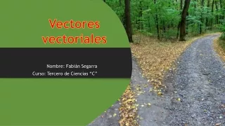 nombre fabi n segarra curso tercero de ciencias c